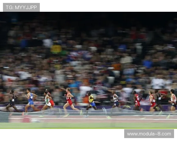 凯时体育游戏登录入口全攻略助你轻松开启精彩体育娱乐体验