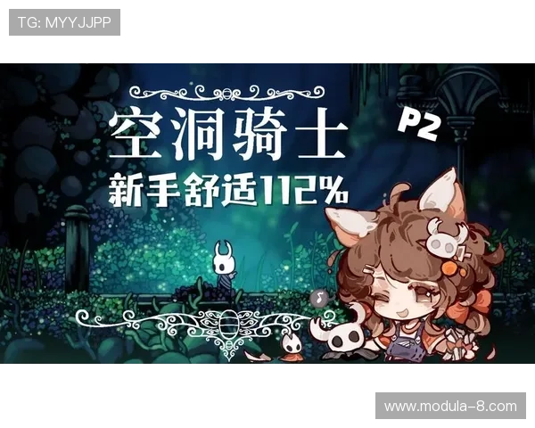 z6mg尊龙登录入口详细攻略指南,帮助新手快速掌握登录流程与常见问题解决方案